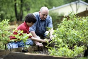 father and son gardening
